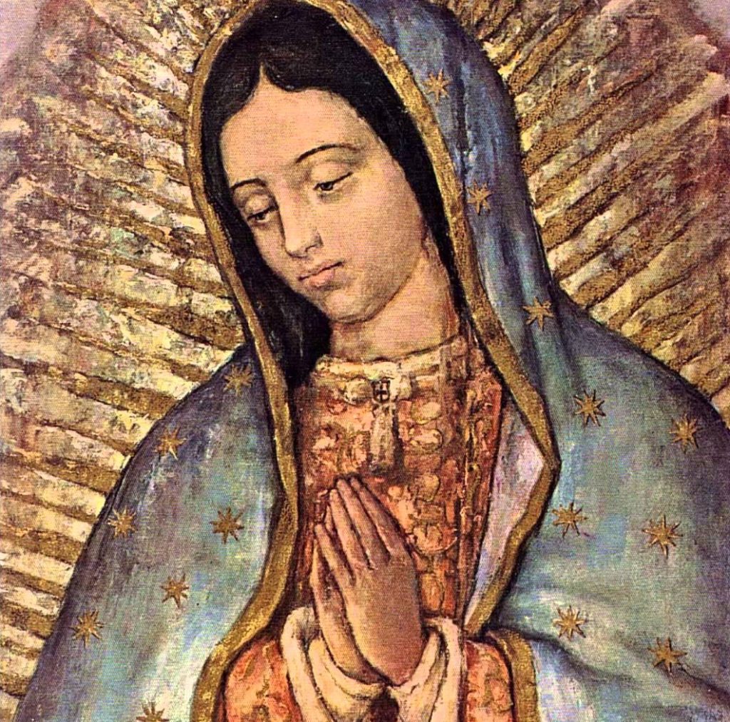 12-dic-guadalupe